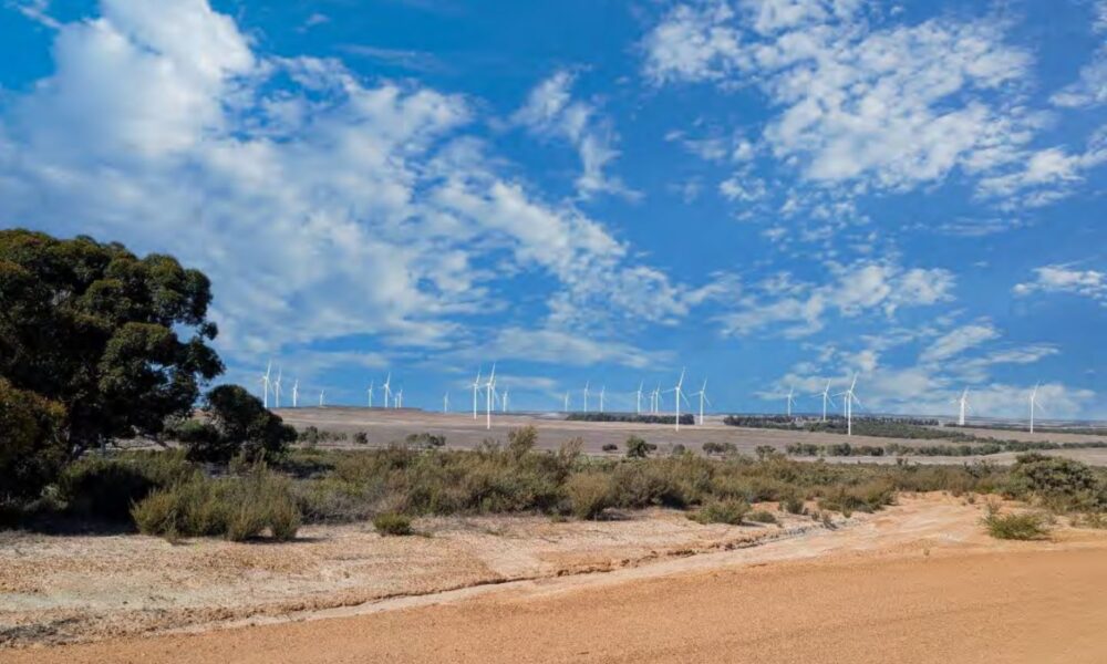 Panel approves Synergy’s $4.5bn wind, solar farm