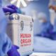 UAE organ transplants