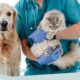 UAE vets veterinary law