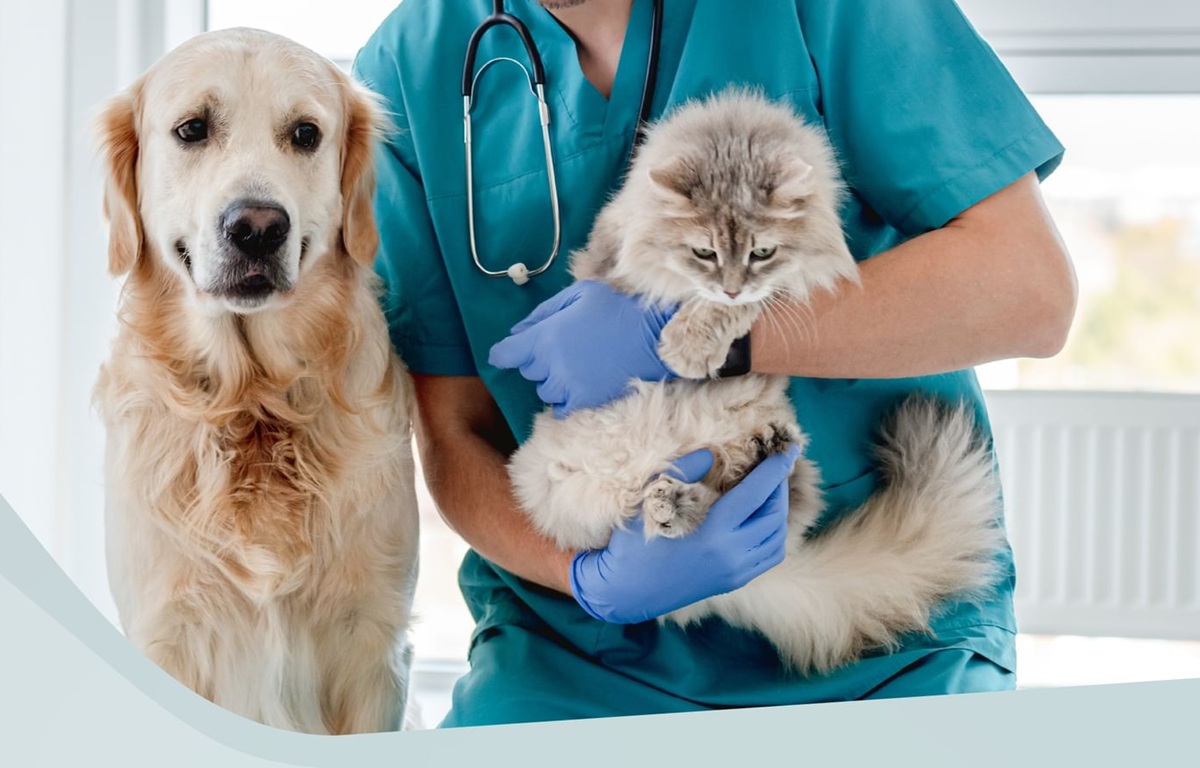 UAE vets veterinary law