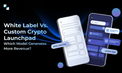 Agentic Ai Development Company