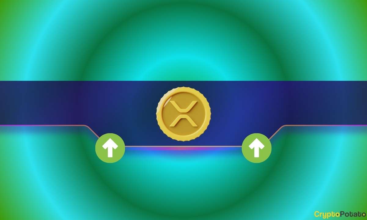 The Signal Ripple Holders Have Been Waiting for as Cooling Phase Fades