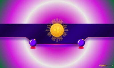 Ripple CEO Brad Garlinghouse Issues Critical Warning About Rising Holiday Scams