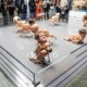 Viral robot dogs with Bezos, Musk heads poop photos at Art Basel Miami