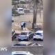 Eyewitness captures moment man tackles and disarms shooter
