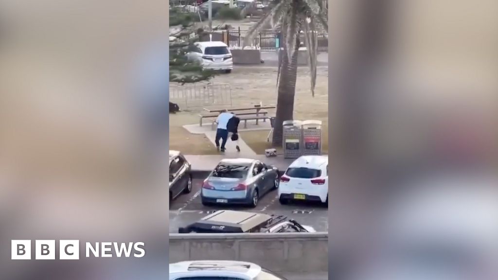 Eyewitness captures moment man tackles and disarms shooter