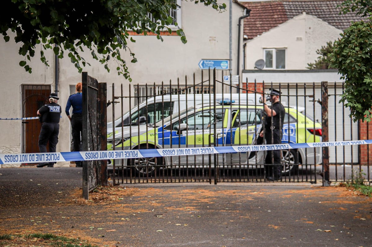 Boys sentenced after "brutal" broad daylight attack in Kingston Park where two teens were stabbed and bitten