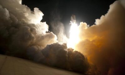 What price action shows is next for Ripple linked token