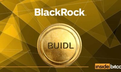 BlackRock's BUIDL Reaches $100M Cumulative Dividend Payouts