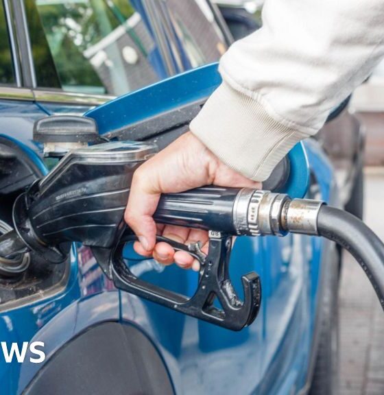 Fuel profit margins still persistently high, says watchdog