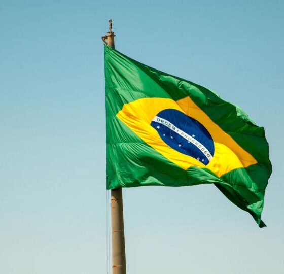 Brazil’s gen Z drives crypto boom as stablecoins, income tokens surge