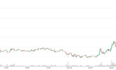 Bitcoin (BTC) tops $90,000, Oil rises as Russia-Ukraine peace hopes falter