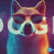 Dogecoin price metrics hint at early-cycle reset, key barrier at $0.20