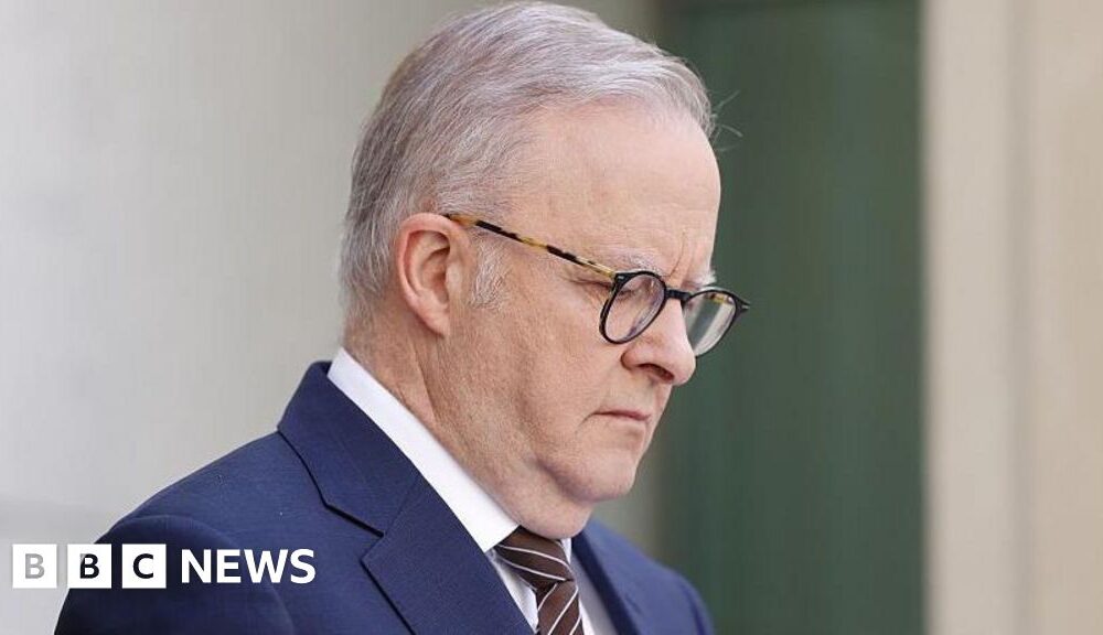 Australia announced gun buyback scheme in wake of Bondi attack