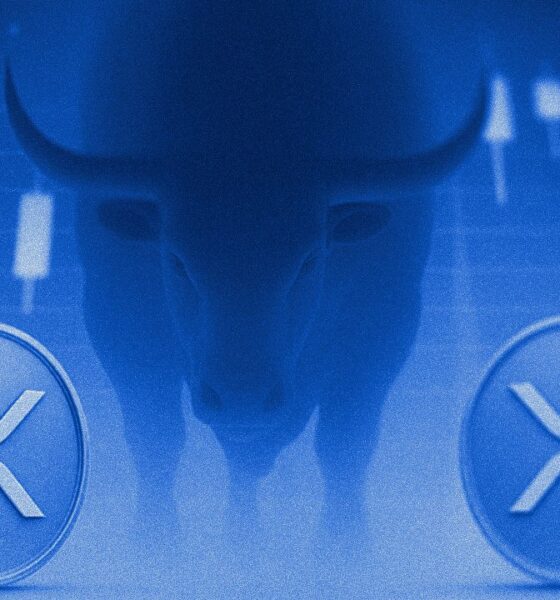 Citadel Securities Turns Against DeFi While Pouring $500 Million into Ripple