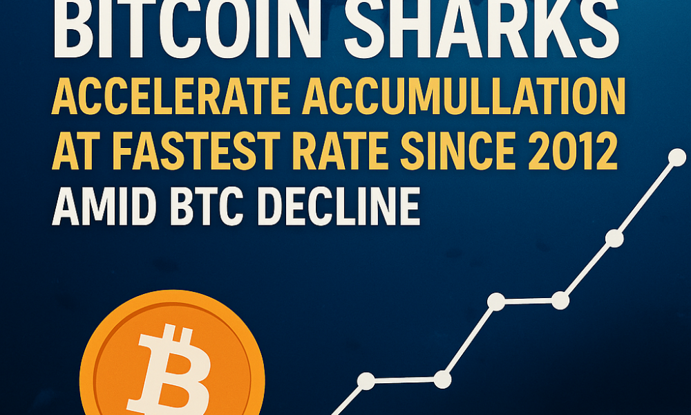 Crypto Breaking News