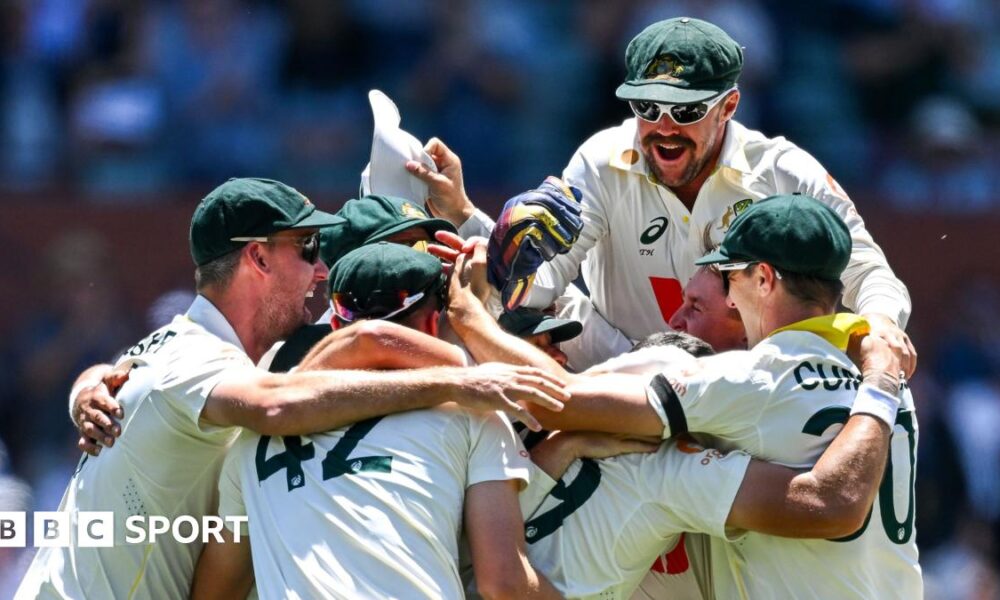 Mitchell Starc celebrates a wicket