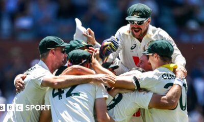 Mitchell Starc celebrates a wicket