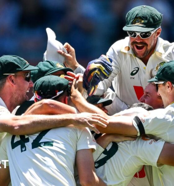 Mitchell Starc celebrates a wicket