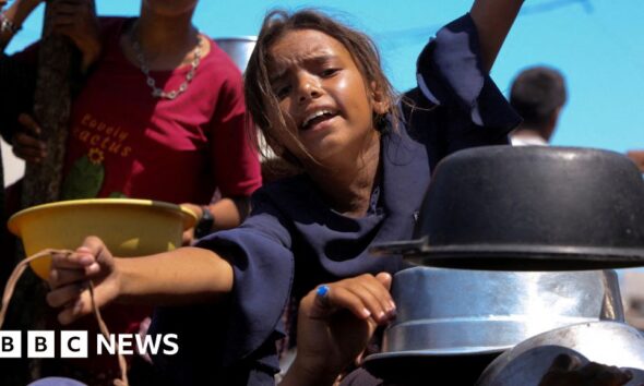 UN-backed experts say Gaza food supplies improving but 100,000 still in 'catastrophic conditions'