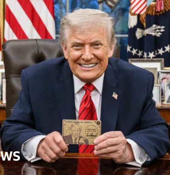Trump launches $1m 'gold card' immigration visas