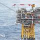 Oil and gas firm Harbour Energy plans to cut 100 offshore jobs
