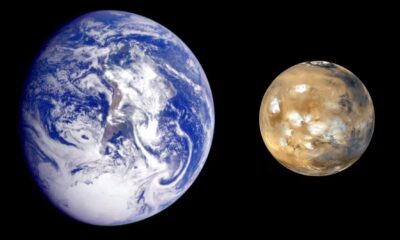 Are we the Martians? The intriguing idea that life on Earth began on the red planet