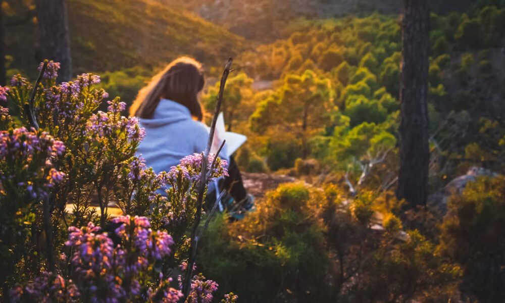 Why we need weird stories for a warming world