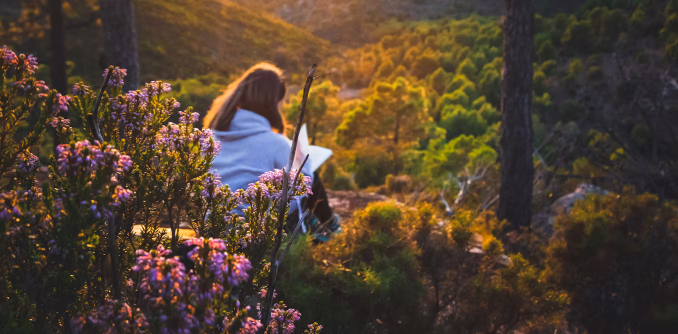 Why we need weird stories for a warming world