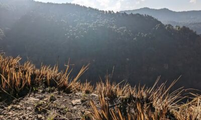 How traditional Himalayan burning could help prevent mega wildfires