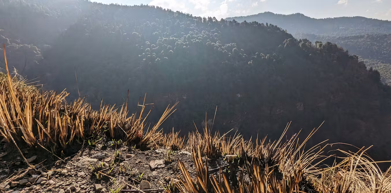 How traditional Himalayan burning could help prevent mega wildfires