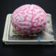 Can entrepreneurship be taught? Here’s the neuroscience