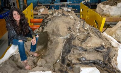 The best dinosaur discoveries of 2025