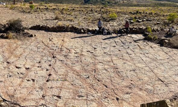 Over 16,000 dinosaur tracks discovered at a site in Bolivia
