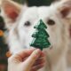 Why you should spend more time with a dog this Christmas