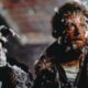 Home Alone’s ‘Wet Bandits’ are medical miracles