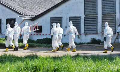 Bird flu warnings are being ignored. I’ve seen this pattern before