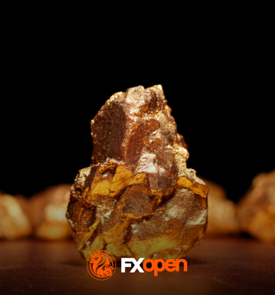 Gold Price Analysis: Price Retreats From Record Highs