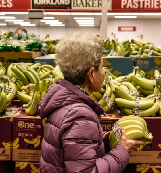 November CPI: Inflation remained elevated as Fed weighs rate cut pause