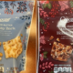 Holiday barks sold at Aldi recalled over potential undeclared pecans, wheat