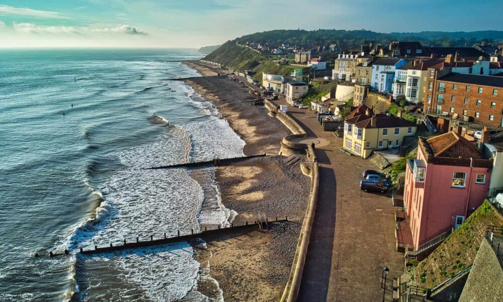 A vast oyster reef is about to transform the English coast