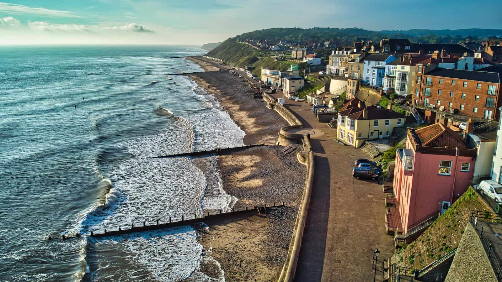 A vast oyster reef is about to transform the English coast