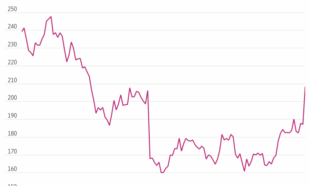 Kelly Cloonan hedcut