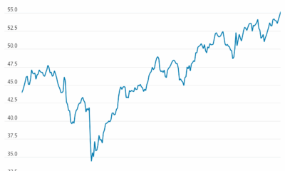 Alexander Saeedy hedcut