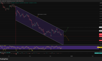Pudgy Penguins Price Prediction: PENGU Price Crashes 20% in a Week, Is a Recovery Possible this December?