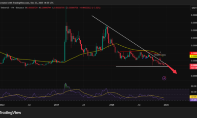 Shiba Inu Price Prediction - Shib Price Chart