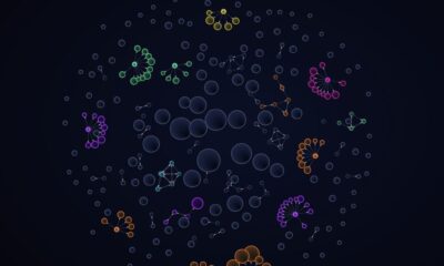 Pippin Price Prediction: Can PIPPIN Reach $0.8 This Christmas, Or Is Another Crash Coming?