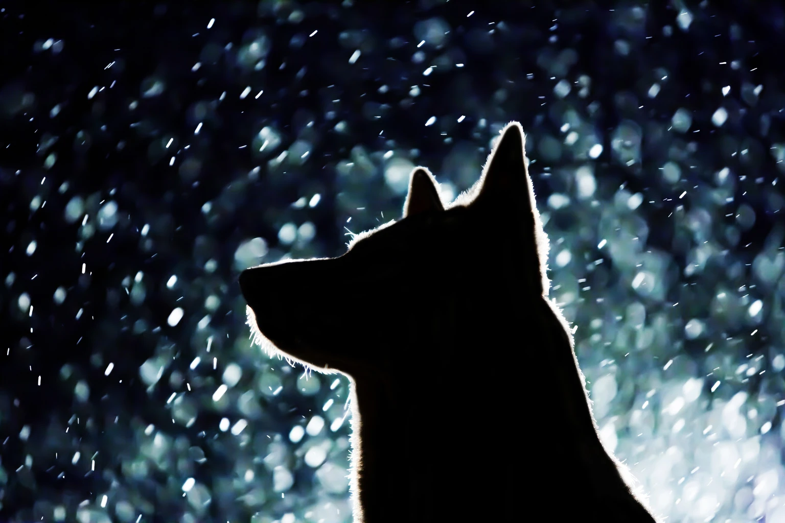 17 Ideal 'Safer' Dividend Buys From 30 Of 73 November Graham Value All-Stars (GVAS)