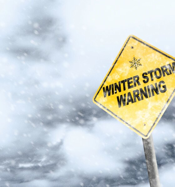 Oracle: Let It Fall, Let It Fall, Let It Fall