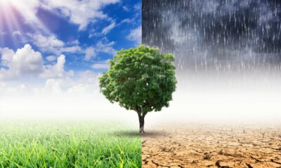 My All-Weather Portfolio Report: Dramatic Climate Change And Mean Reversion Underway